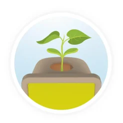 Petites pousses - Buki France