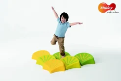 Planifier votre parcours Feuilles, set de 6 - Eduplay