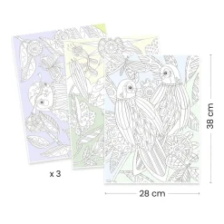 Posters à colorier : Colouring Gallery : Oiseaux - Djeco