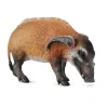 Potamochère - Figurines Collecta