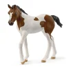 Poulain Paint Horse - Schleich