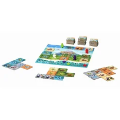 PURA VIDA - Wilson Jeux