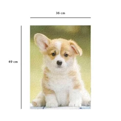 Puzzle 500 pièces : Adorable corgi - Nathan