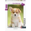 Puzzle 500 pièces : Adorable corgi - Nathan