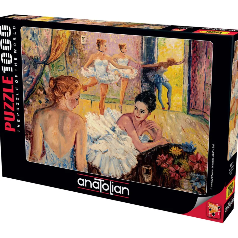 Puzzle 1000 pièces : Ballet Studio - Anatolian