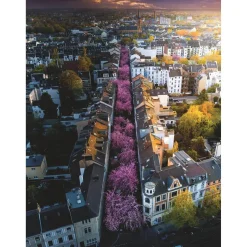 Puzzle 1500 pièces : Bonn En Fleurs - Ravensburger