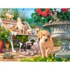 Puzzle 100 pièces : Cache-cache - Castorland