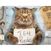 Puzzle 500 pièces : Chat criminel par Paul Normand - Eurographics