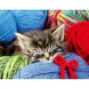 Puzzle 100 pièces : Chaton dans la laine - Ravensburger