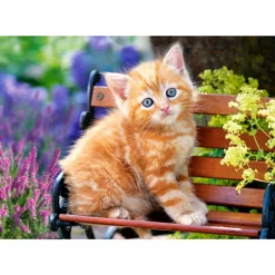 Puzzle 500 pièces : Chaton roux dans les fleurs - Castorland