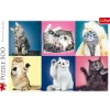 Puzzle 500 pièces : Chatons - Trefl