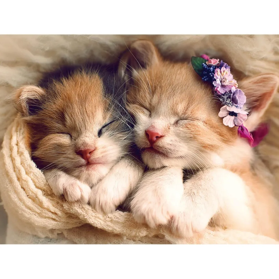 Puzzle 500 pièces : Chatons endormis - Trefl