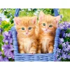 Puzzle 60 pièces : Chatons Roux - Castorland