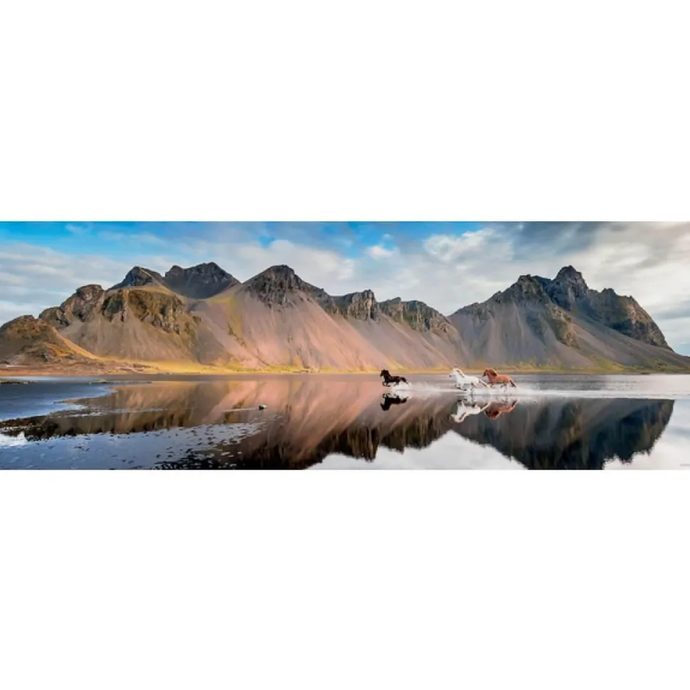 Puzzle 1000 pièces : Chevaux d'Islande - Heye