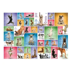 Puzzle 1000 pièces : Chiens de yoga - Eurographics