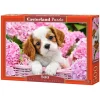 Puzzle 500 pièces : Chiot au milieu des fleurs - Castorland