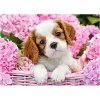 Puzzle 180 pièces : Chiot dans les fleurs roses - Castorland