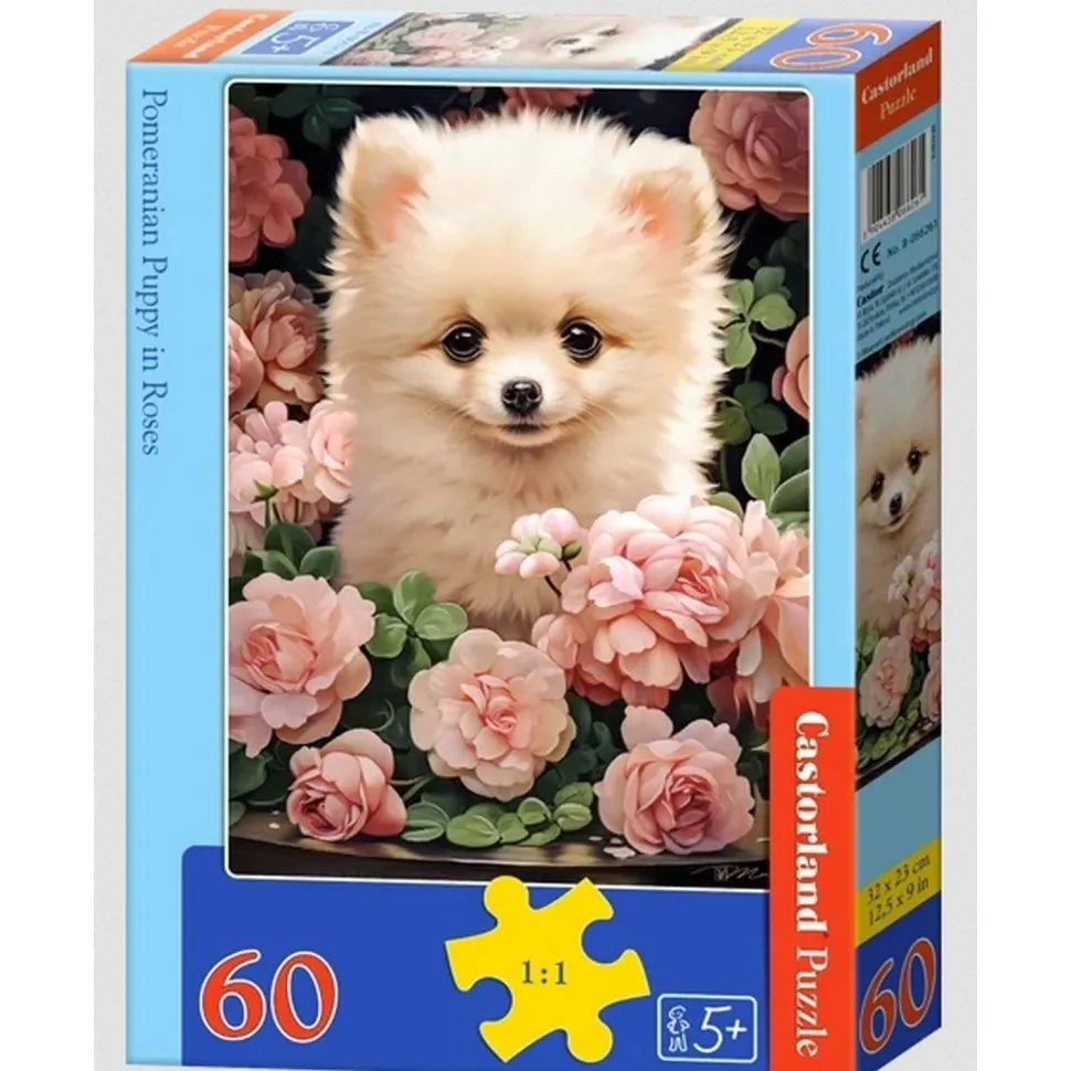 Puzzle 60 pièces : Chiot de Poméranie dans les roses - Castorland