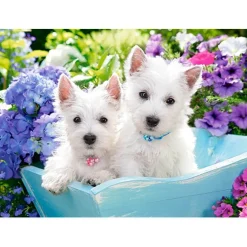 Puzzle 200 pièces : Chiot Westie - Castorland