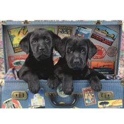 Puzzle 500 pièces : Chiots dans une valise - Dino