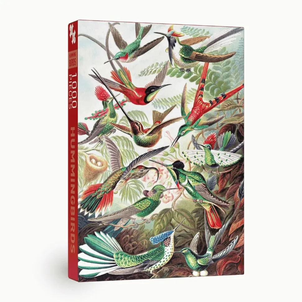 Puzzle 1000 pièces : COLIBRIS - Penny Puzzle