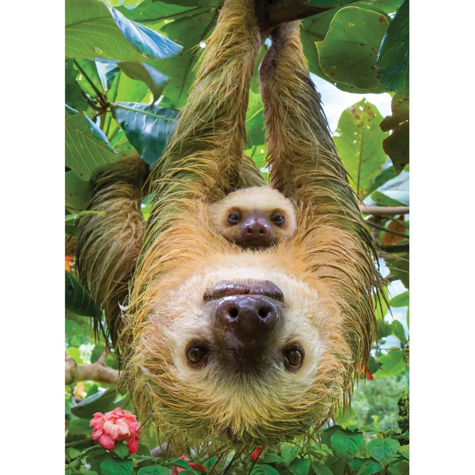Puzzle 250 pièces : Collection Save our planet : Les paresseux - Eurographics