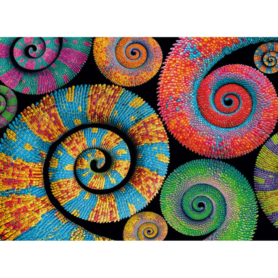 Puzzle 500 pièces : Colorboom Curly Tails - Clementoni