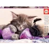 Puzzle 500 pièces : Compagnons de rêves - Educa