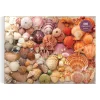 Puzzle 1000 pièces : Coquillages sous le soleil - Galison