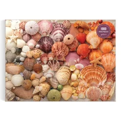 Puzzle 1000 pièces : Coquillages sous le soleil - Galison