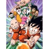 Puzzle 200 pièces : Dragon Ball - Educa