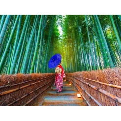 Puzzle 1000 Pièces : Femme asiatique dans une forêt de bambous - EnjoyPuzzle