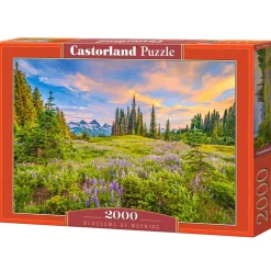 Puzzle 2000 pièces : Fleurs du matin - Castorland