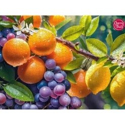 Puzzle 1000 pièces : Fruits ensoleillé - CherryPazzi