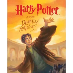 Puzzle 1000 pièces : Harry Potter : Les Reliques de la Mort - New York Puzzle Company