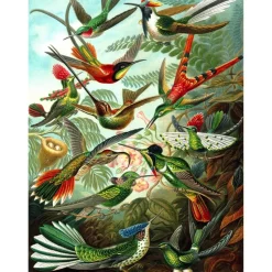 Puzzle 1000 pièces : Hummingbirds - New York Puzzle Company