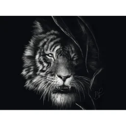 Puzzle 1000 pièces : Indompté – le tigre : sous le signe de la liberté - Ashley Rader - Schmidt