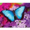 Puzzle 550 pièces : Iridescence - Master Pieces