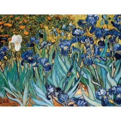 Puzzle 1000 pièces : Iris, Van Gogh - Eurographics