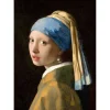 Puzzle 1000 pièces : Johannes Vermeer : La Jeune Fille à la Perle - EnjoyPuzzle