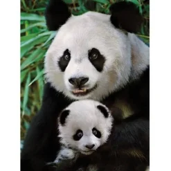 Puzzle 1000 pièces : La famille Panda - Dino