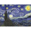 Puzzle 1500 pièces : La nuit étoilée - Anatolian