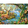 Puzzle 500 pièces : La vie de la forêt - Castorland