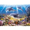 Puzzle 500 pièces - Le monde des dauphins - Castorland