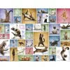 Puzzle 1000 pièces : Le yoga des chats - Eurographics
