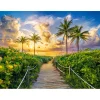 Puzzle 3000 pièces : Lever de soleil coloré à Miami, USA - Castorland