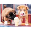 Puzzle 500 pièces : L'heure des glaces ! - Trefl