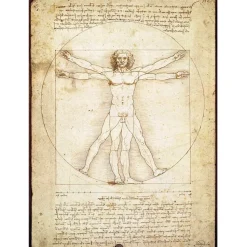 Puzzle 1000 pièces : L'homme de Vitruve - Eurographics