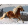 Puzzle 239 pièces - Magie des chevaux : Cheval Haflinger II - DToys