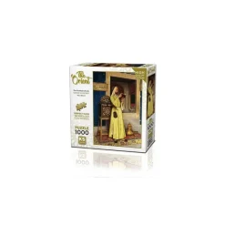 Puzzle 1000 pièces : Merveilleuse Fontaine de Vie - Ks Games